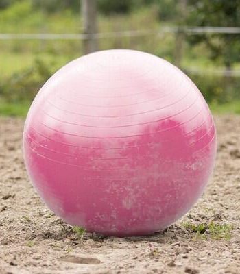 Lyserød Hestefodbold – 80 cm til Sjov Træning!