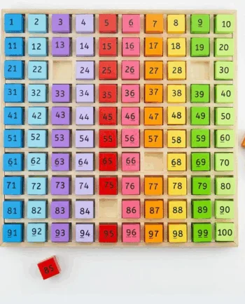 Tæl Til 100 - Bigjigs Coolbaby  - 691621171448