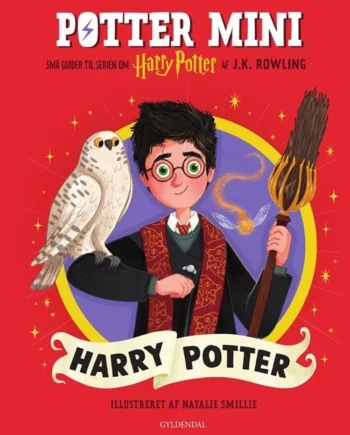 Potter Mini Harry Potter - Coolbaby