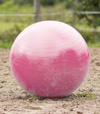 Pink Heste Foldbold - Qhp Coolbaby  - 8718369249795