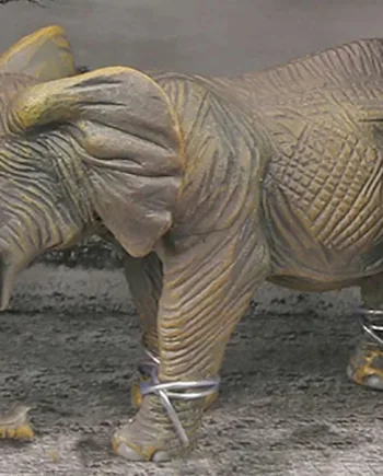 Animal Universe Elefant åben æske - Vestergaard Coolbaby  - 5700135251036