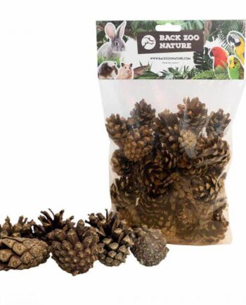 Back Zoo Nature Fyrretræs Kogler - Back Zoo Nature Coolbaby  - 8784251816833