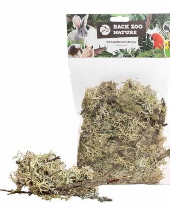 Back Zoo Nature Naturgren Mos - Back Zoo Nature Coolbaby  - 8784251816840