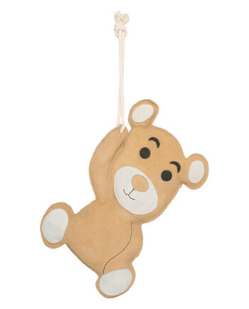 Boks Legetøj Irhteddy - Imperial Riding Coolbaby  - 8714184999112