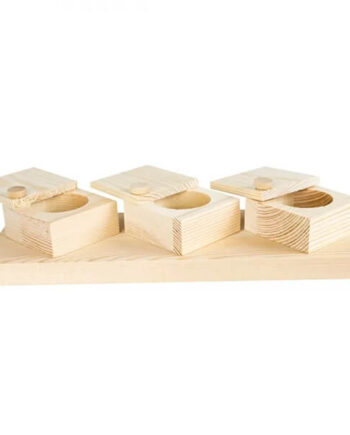 Back Zoo Nature Braintrainer Cups - Back Zoo Nature Coolbaby  - 8784251815645