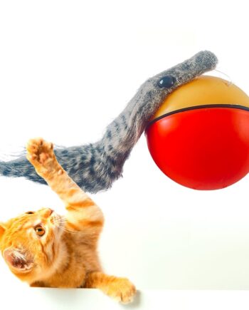 Bæverkugle Elektrisk Legetøj Til Husdyr - Satana.dk Coolbaby