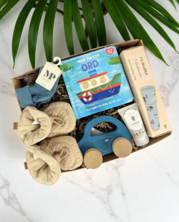 Barselsgave Med Bog Legetøj - Gaestus Coolbaby