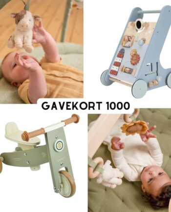 Gavekort Til Legetøj Eventyr 200 Diverse - Diverse Coolbaby