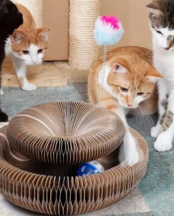 Katte Kradsebræt Legetøj Med Bold - Satana.dk Coolbaby