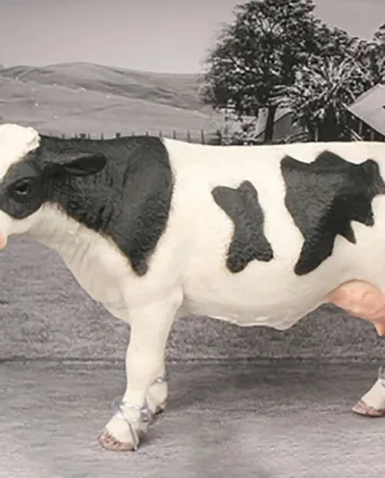 Animal Universe åben æsken - Vestergaard Coolbaby  - 5700135251234