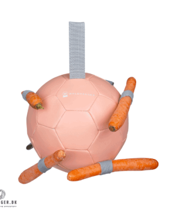 Legetøj Til Heste Gulerods Bold - Waldhausen Coolbaby  - 4057962230514