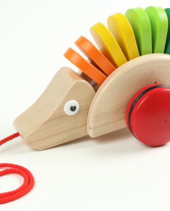 Pintoy Træklegetøj Pindsvin Fra - Pintoy Coolbaby  - 6943478028227