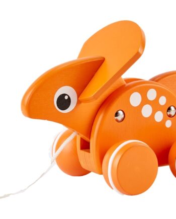 Pintoy Træklegetøj Triceratops Dinosaur Fra - Pintoy Coolbaby  - 6943478029873