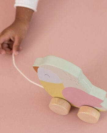 Trække Fugl Træk Snoren Fuglen Følger Med Legetøj Baby - Little Dutch Coolbaby  - 8713291770867